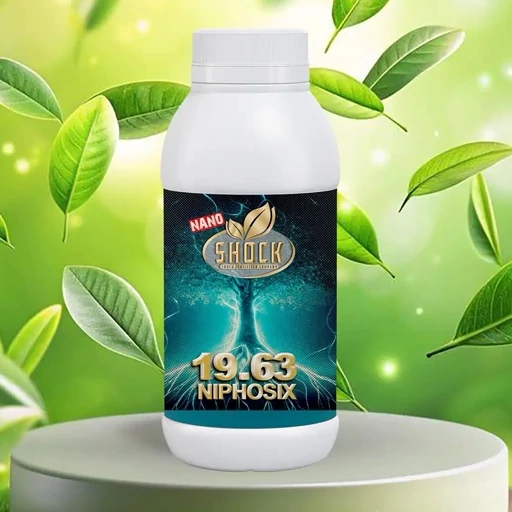 کود فسفر بالا ریشه زا 19.63 شوک اصل آمریکا 1 لیتری (پس کرایه)
