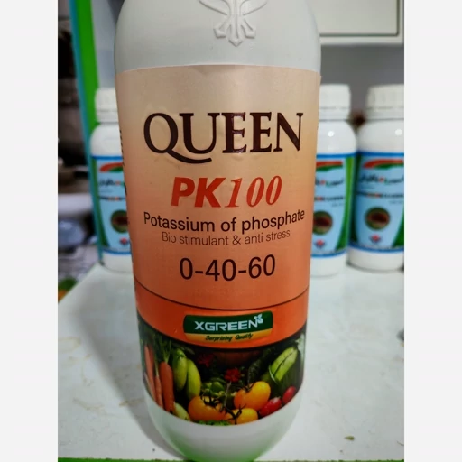 کوئین PK