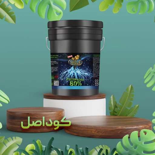 کود عناصر درشت مغذی، فسفات